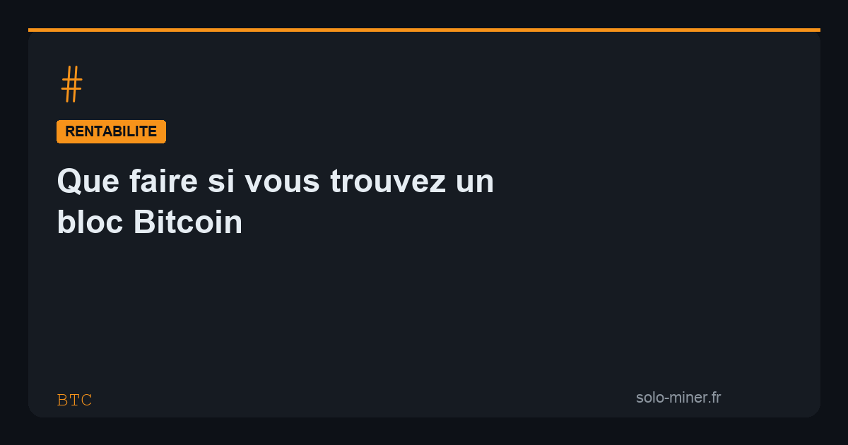 Que faire si vous trouvez un bloc Bitcoin : guide complet
